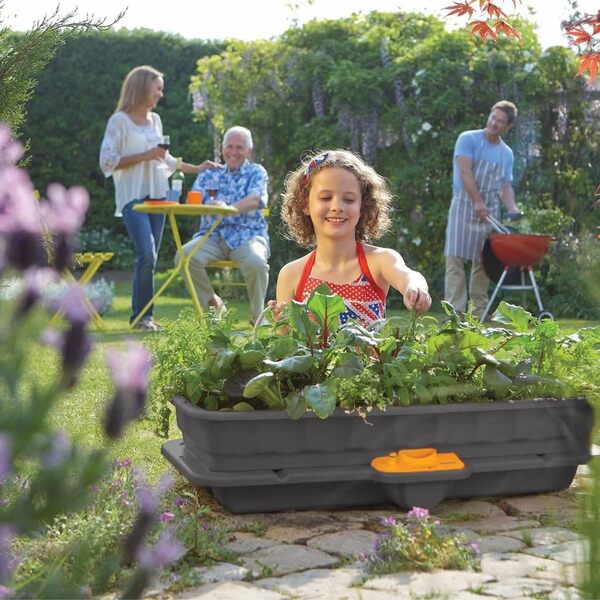 HOZELOCK - Carré Potager Autonome Easy Plant 3-en-1 : Mini-Jardin d'Intérieur, Arrosage Autonome jusqu'à 14 Jours, Permet une Culture sans Stress Hydrique pour vos Plantes, Économe en Eau [2811 3920]