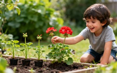 Entretien, taille et plantation des géraniums : guide complet