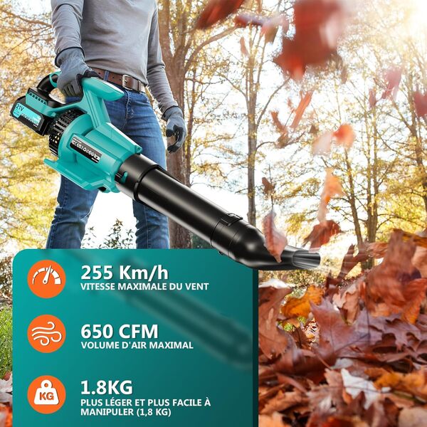21V Souffleur à Feuilles 255Km/h 1070m³/h, Max 38000RPM, Souffleur de Feuilles électrique 3 Vitesses avec écran LCD, 2×4.0Ah Batterie pour Le Jardin, l'entretien du Gazon, Le déneig(Bleu)