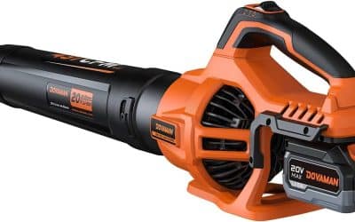 Test : dovaman LE40, souffleur sans fil 744 m³/h, léger et portatif