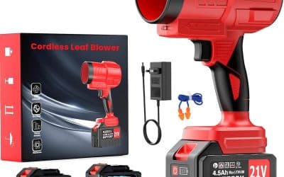 Test du souffleur de feuilles sans fil 21V : puissance et légèreté