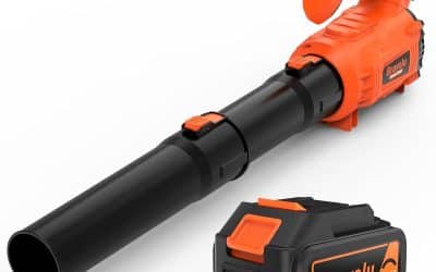 Test du souffleur de feuilles sans fil 5200 mAh : puissance et polyvalence