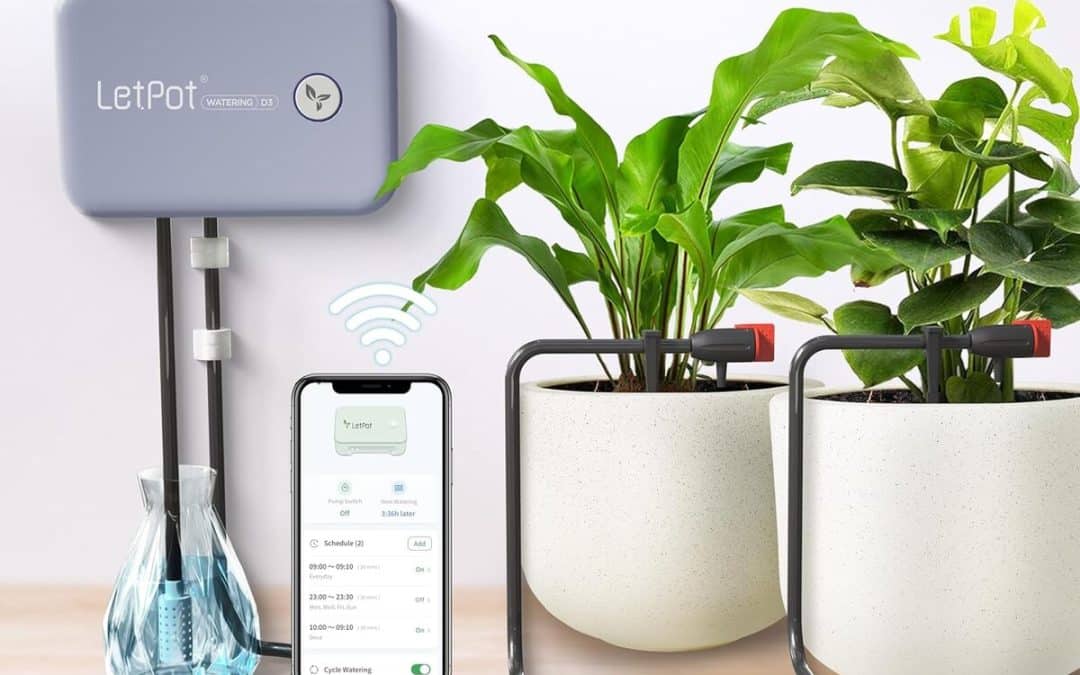 Test : letPot système d'arrosage automatique IPX66 pour plantes