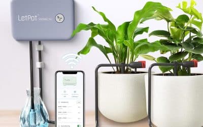 Test : letPot système d’arrosage automatique IPX66 pour plantes