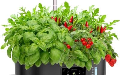 Test : potager d&rsquo;intérieur Golumup 13 pots avec lampe LED