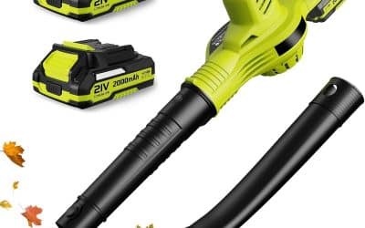 Test : souffleur de feuilles sans fil 21V – 3000W portable et puissant