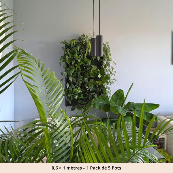 Mur Végétal, Pots pour Mur Végétal Naturel en Extérieur ou Intérieur, Potager Urbain, Système d’Auto-Irrigation, 60 x 100 cm