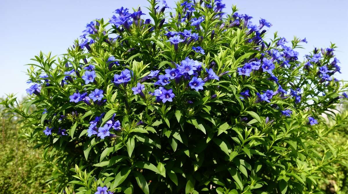 Vari&eacute;t&eacute;s populaires &agrave; consid&eacute;rer pour votre jardin