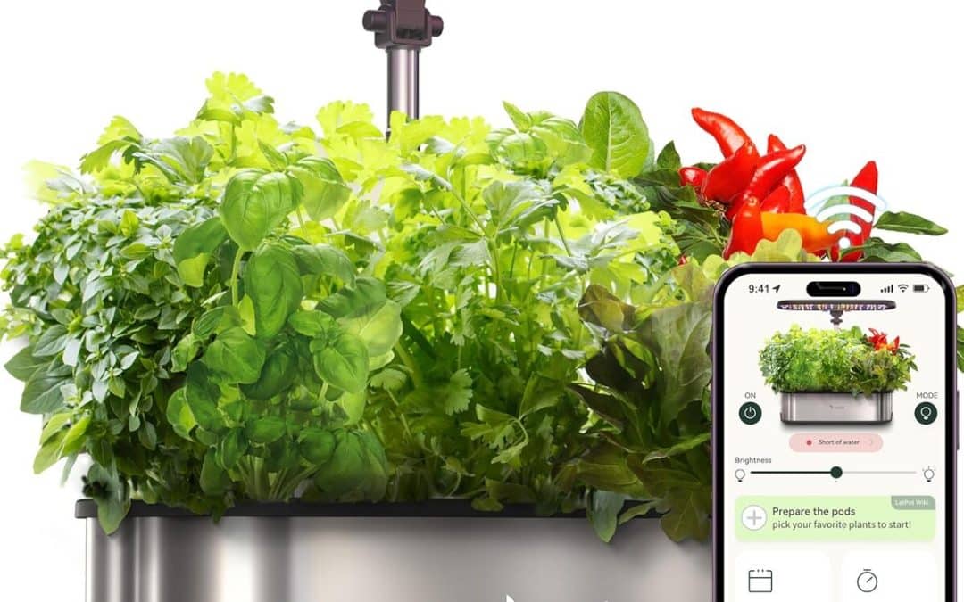 Test du smart herb garden kit : jardin intérieur connecté