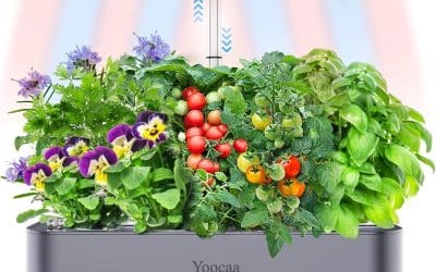 Test du système hydroponique Yoocaa à 12 dosettes (gris)