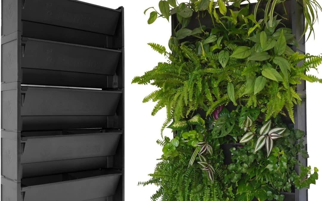 Test : evertia mur végétal auto-irrigant 60 x 100 cm