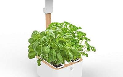 Test Botaneo Eylo : jardin d’intérieur LED automatique