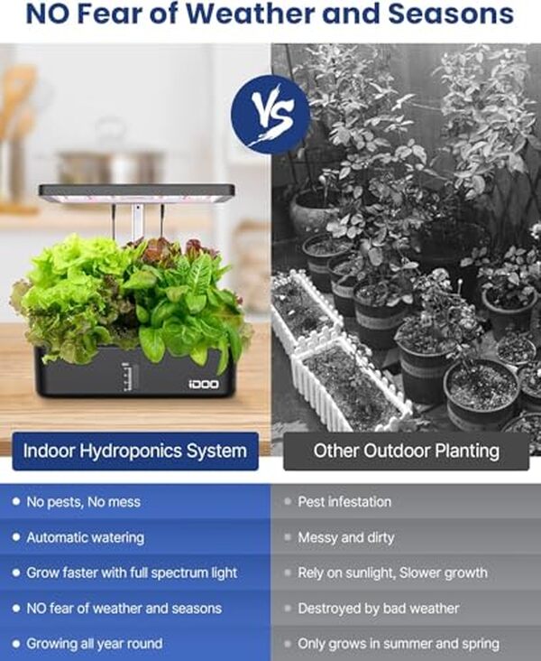Découvrez notre test complet du potager hydroponique iDOO, une solution pratique et ajustable pour un jardin intérieur en toute simplicité. Transformez votre espace avec ce système innovant.