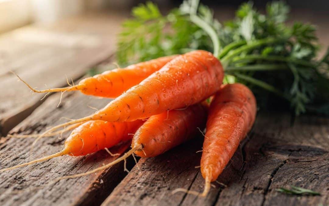 Bienfaits et vertus des carottes pour la santé