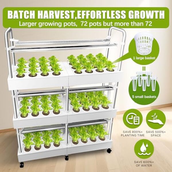 Découvrez notre évaluation complète du système hydroponique d'intérieur à 3 niveaux avec lampes. Profitez d'une culture optimale grâce à ses 72 capsules pour des récoltes abondantes et saines.