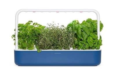 Test du Click & Grow Smart Garden : potager connecté simple et efficace