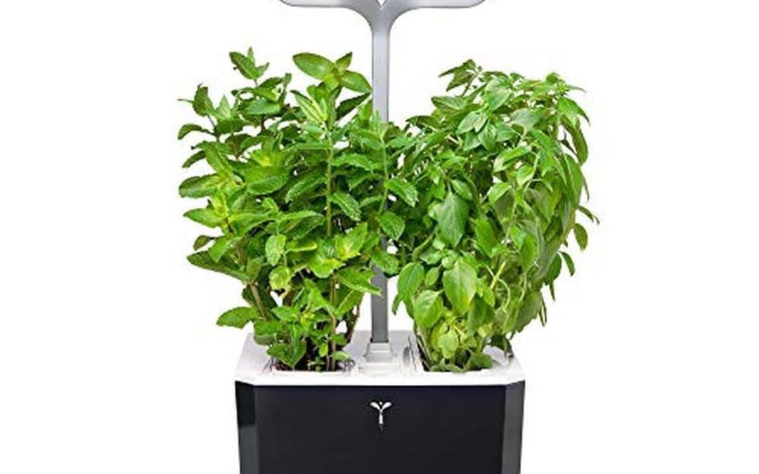 Test du jardin intelligent Exky Smart : compact et autonome