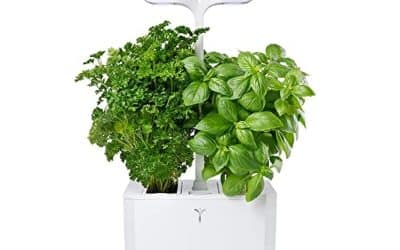 Test du potager d&rsquo;intérieur Exky Classic : compact et autonome