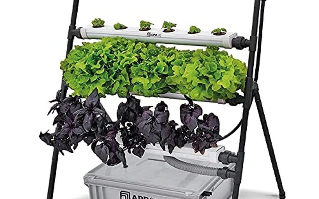 Test du système de culture hydroponique Plantawa Rocket 24