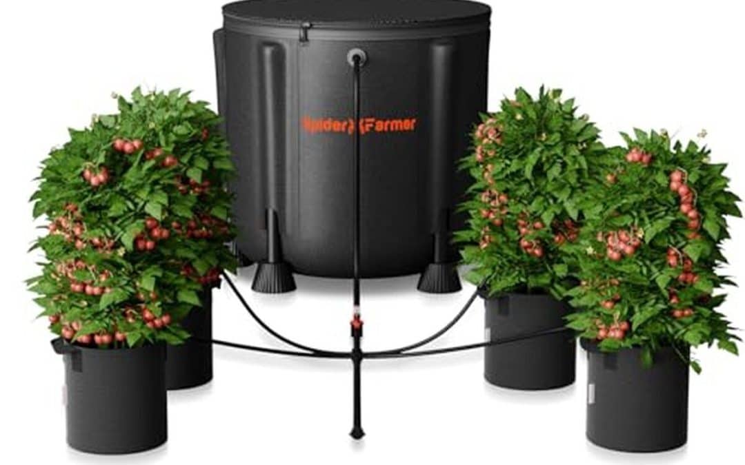 Test du système d'irrigation Spider Farmer : pompe à eau 25 W et seau 13 gallons