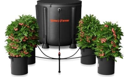 Test du système d&rsquo;irrigation Spider Farmer : pompe à eau 25 W et seau 13 gallons