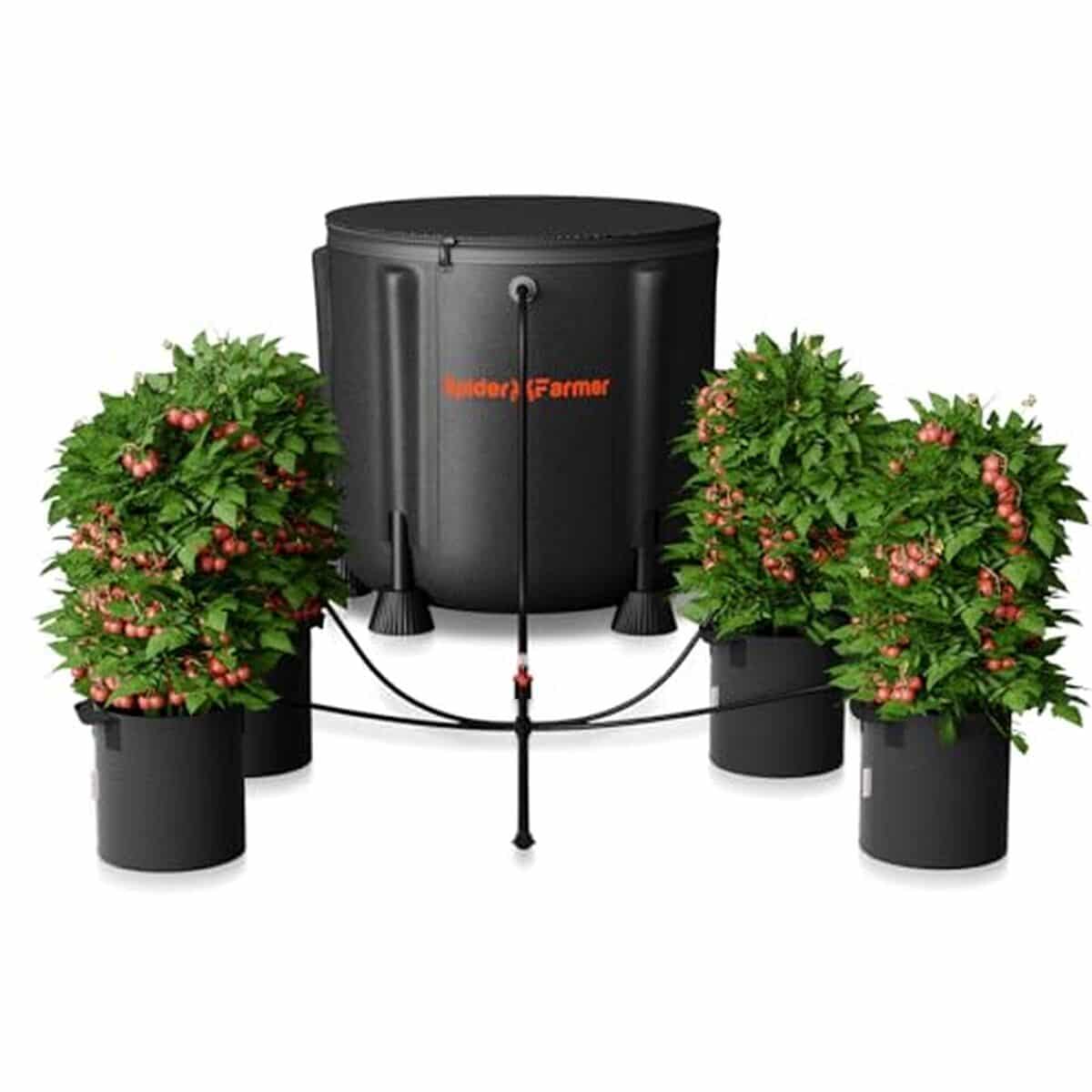 Test du système d'irrigation Spider Farmer : pompe à eau 25 W et seau 13 gallons