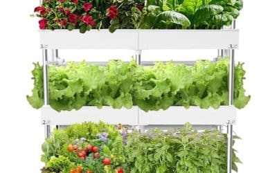 Test : système hydroponique d&rsquo;intérieur 3 niveaux avec lampes et 72 capsules