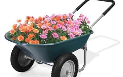 Test de la brouette SOARS à 2 roues pneumatiques : pratique et maniable