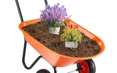 Test de la brouette VEVOR 140L : capacité de 180 kg