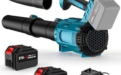 Test du souffleur batterie 21V : puissance sans fil pour le jardin