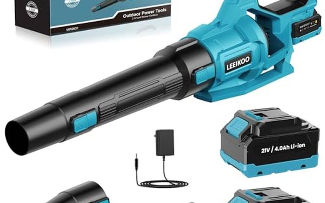 Test du souffleur LEEIKOO 21V : efficace avec ses 3 vitesses et 2 batteries
