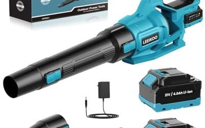 Test du souffleur LEEIKOO 21V : efficace avec ses 3 vitesses et 2 batteries