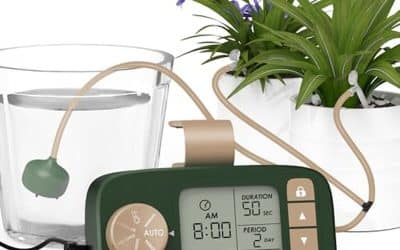 Test du système d&rsquo;arrosage Piomatic : irrigation pour 15 plantes