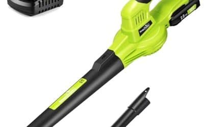Test SnapFresh : souffleur sans fil 20V pour jardins