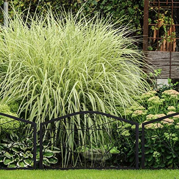 Découvrez une bordure potager en fer noir qui allie élégance antique et robustesse. Une solution idéale pour sublimer votre jardin avec style et durabilité.