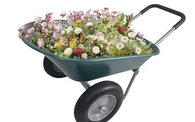Test du chariot de jardin Elevon à double roue : robustesse et praticité