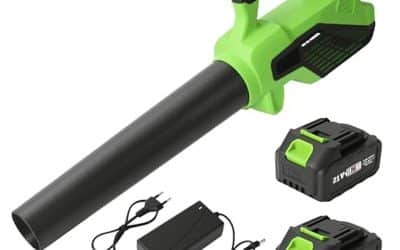 Test du souffleur batterie : puissance et polyvalence pour votre jardin