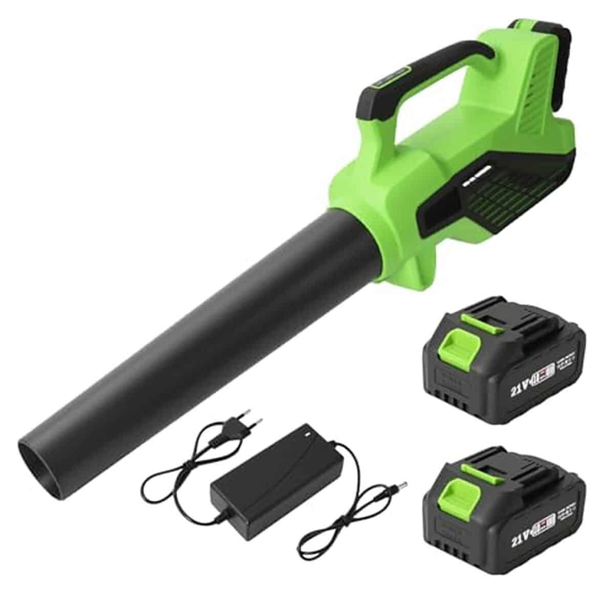 Test du souffleur batterie : puissance et polyvalence pour votre jardin