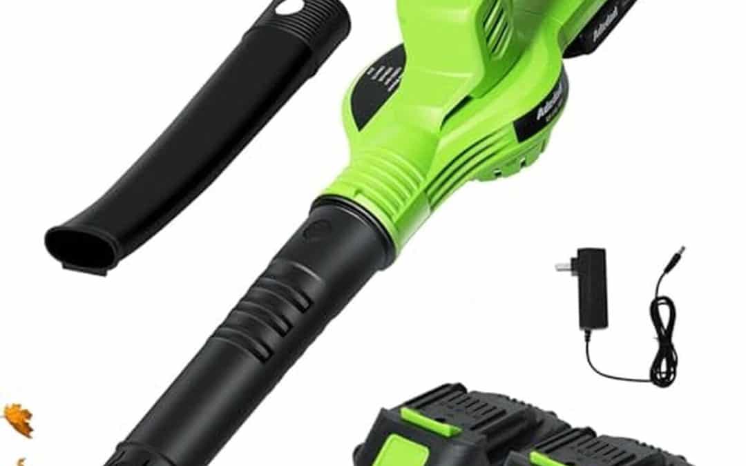 Test du souffleur sans fil 21V : performance et autonomie au rendez-vous