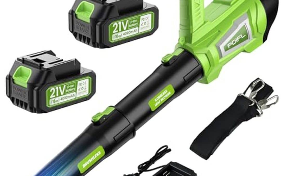 Test du souffleur sans fil : puissance et polyvalence à 245 km/h