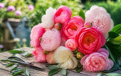 Créer de magnifiques bouquets de pivoine : conseils et astuces