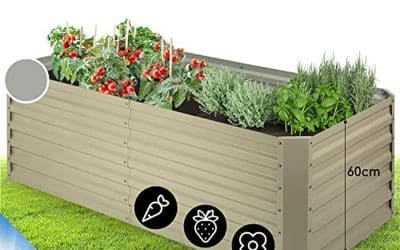 Test de la jardinière Blumfeldt : potager surélevé pratique et spacieux