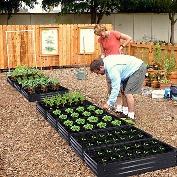 Découvrez notre test détaillé du parterre surélevé Taleco Gear 120 x 90 cm : qualité, durabilité et praticité pour votre jardin potager. 