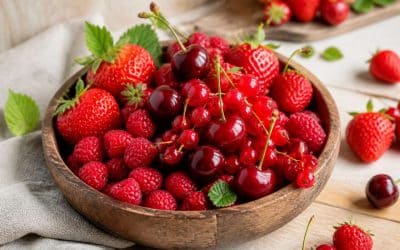 Bienfaits et dégustation des fruits rouges
