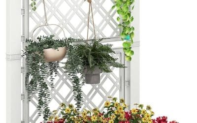 Test de la jardinière surélevée avec treillis GOPLUS