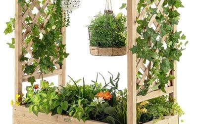 Test jardinière treillis Goplus : pour plantes grimpantes et fleurs