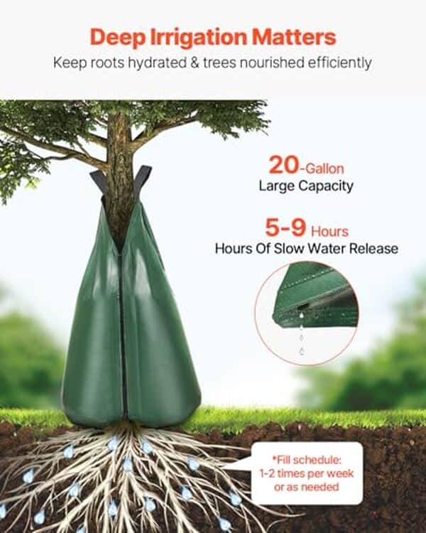 Découvrez notre test détaillé du sac d'arrosage VEVOR 75, 7 L : performances, durabilité et efficacité pour l'irrigation de votre jardin. Avis d'expert inclus.