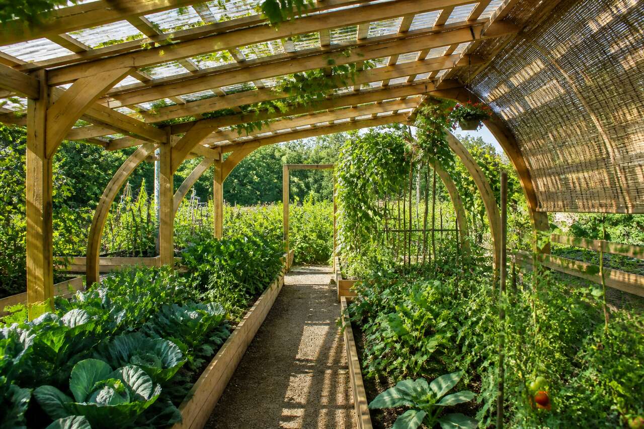 Structures d’ombrage durables: arceaux, pergola, cadre bois et serres modulées Structures d’ombrage durables: arceaux, pergola, cadre bois et serres modulées