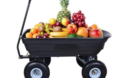 Test du chariot à benne basculante AA IN : robuste et polyvalent pour le jardin et le camping