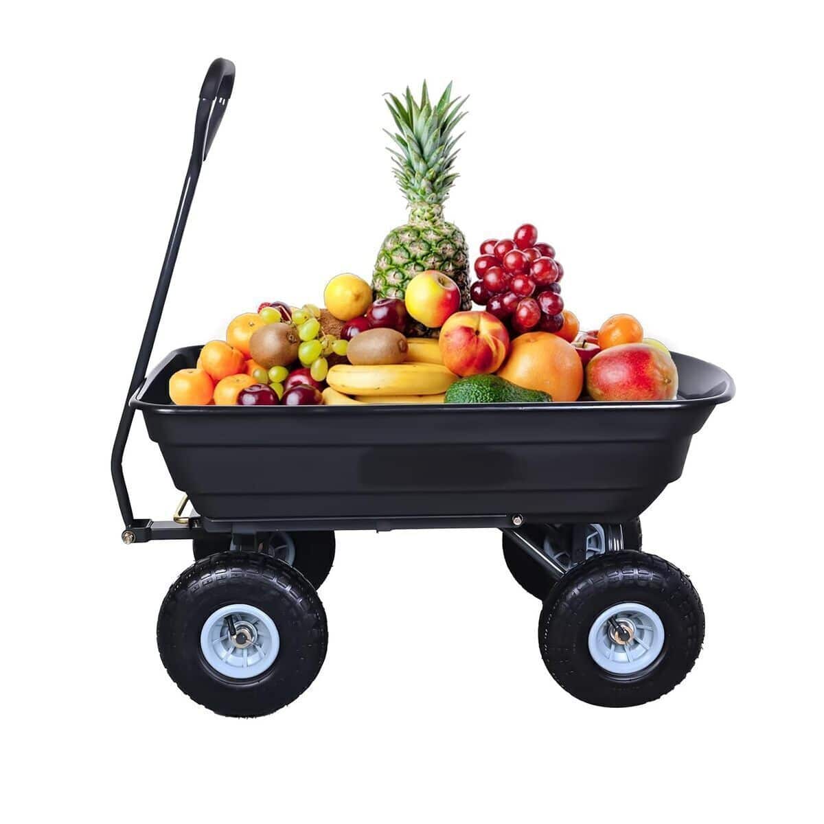 Test du chariot à benne basculante AA IN : robuste et polyvalent pour le jardin et le camping